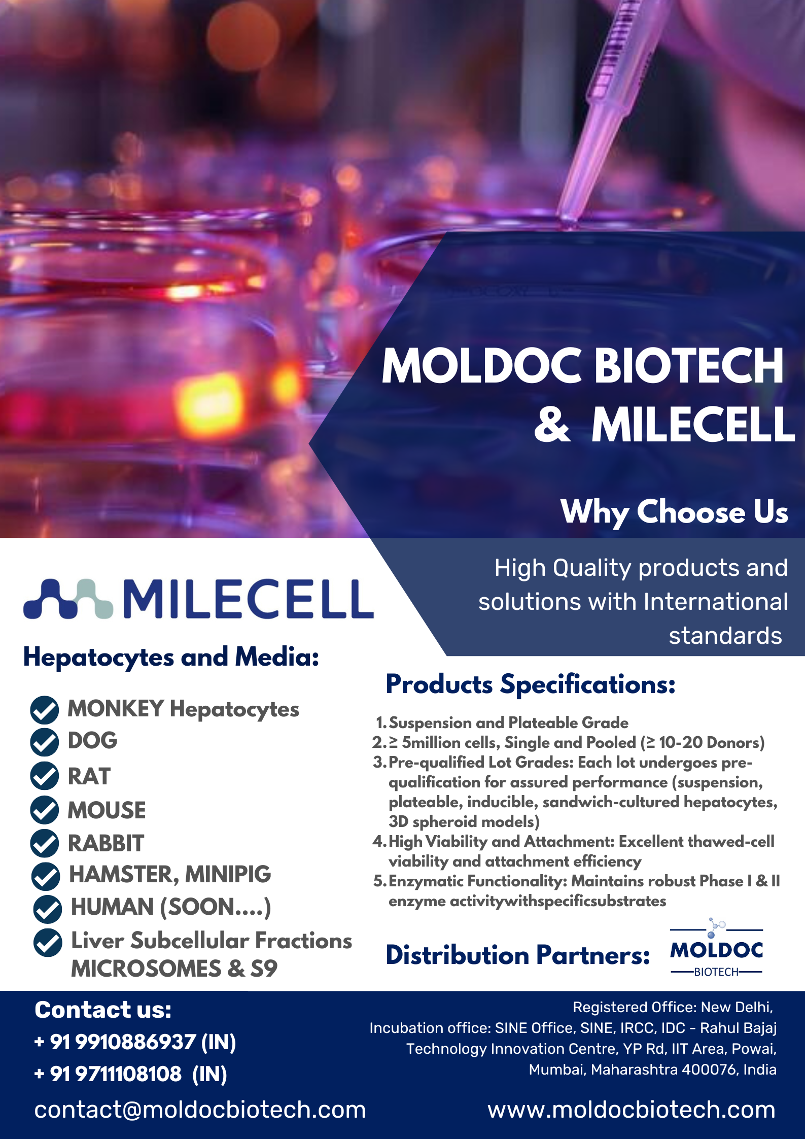 Copy of 14082026 LIVER Moldoc MILECELL